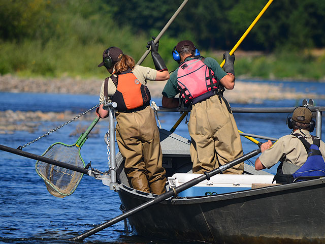 End of 2012 Mark & Recapture Study Season